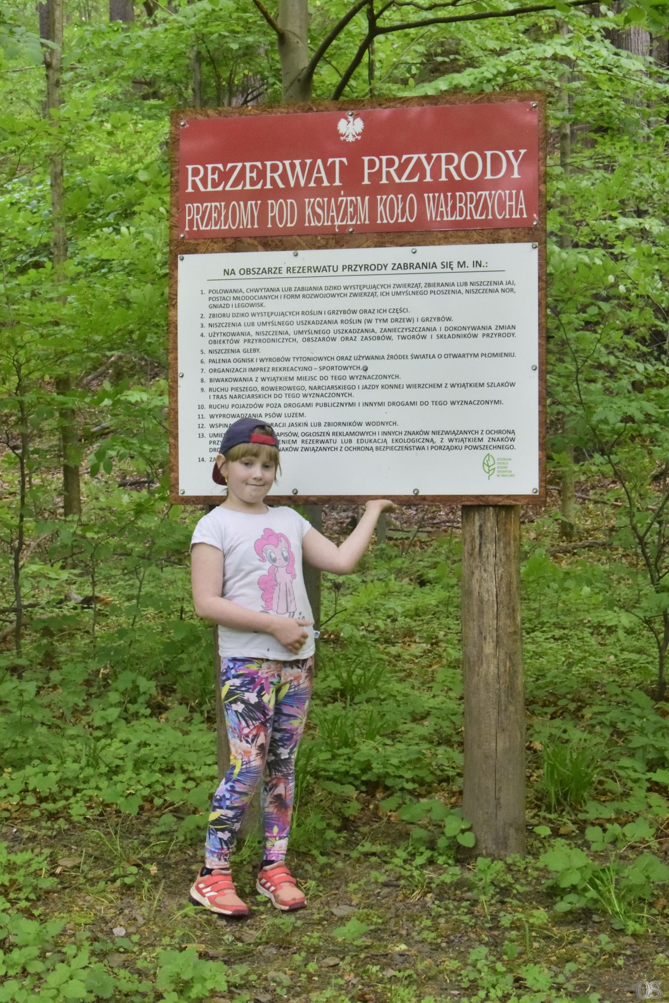Sciezka Hochbergow 20.jpg